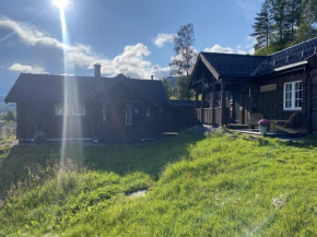 Cottage Yard - cozy Cabin Geilo